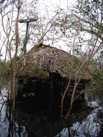 dsc00632.jpg